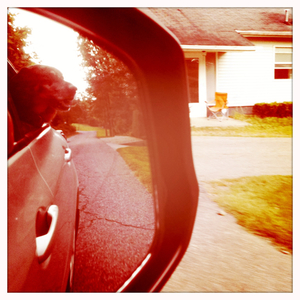 Hip 336521267.295978