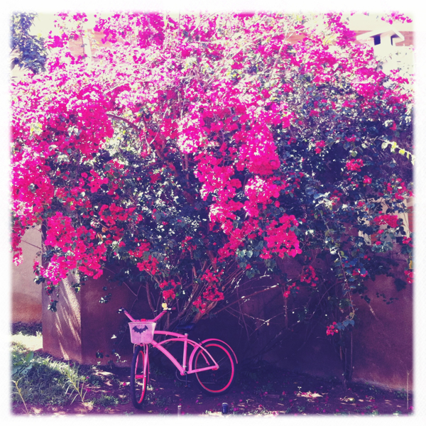 Hip 336408769.986150