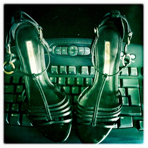 Hip 336409095.265882