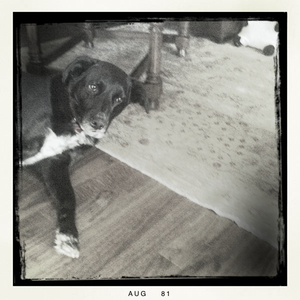 Hip 336525098.365455