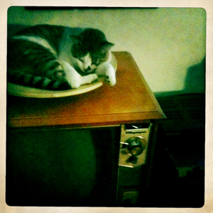 Hip 336524927.328473