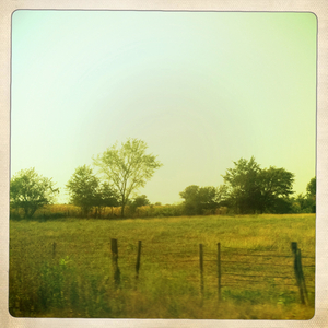 Hip 336518872.886313