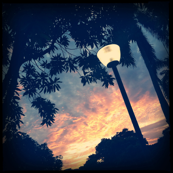 Hip 336481746.738668