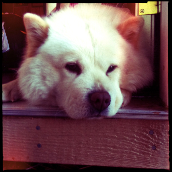 Hip 336528486.612126