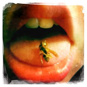 Hip 336531357.906736