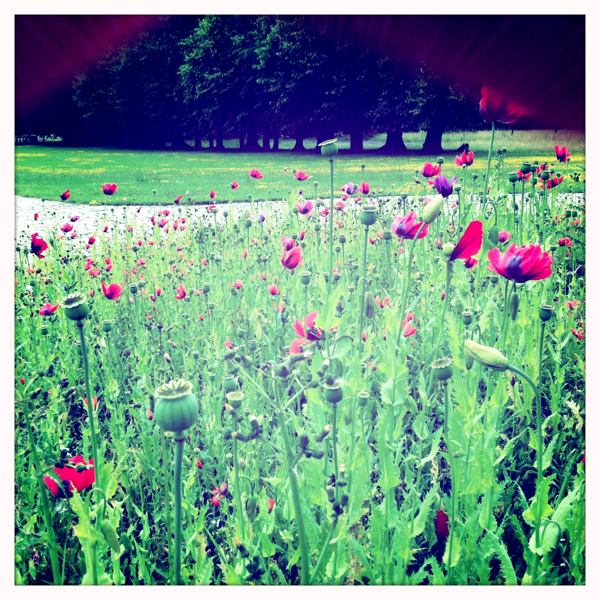 Hip 330184069.447414