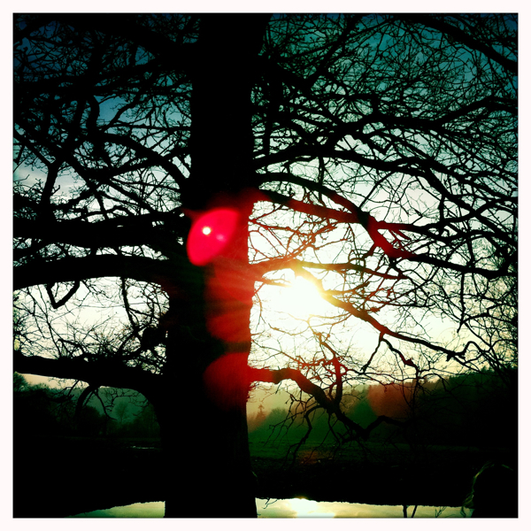 Hip 321037075.254254