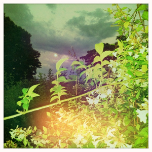 Hip 332296952.743147