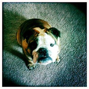 Hip 335545789.875289