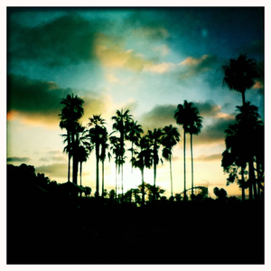 Hip 332477395.118581