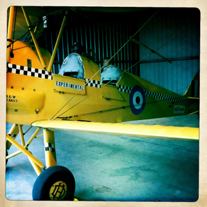 Hip 336441305.441180