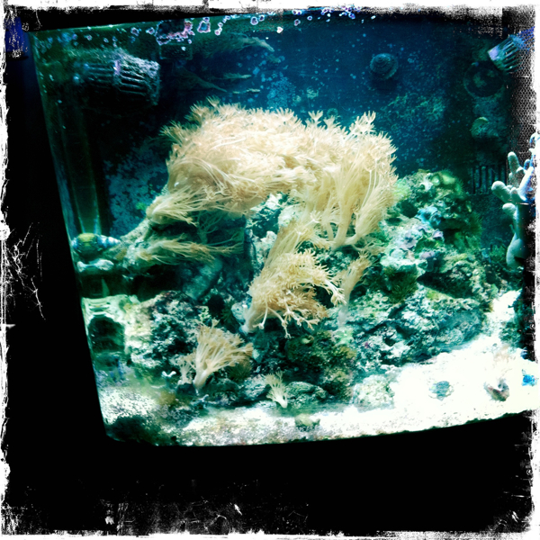 Hip 336539145.163988