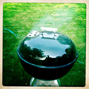 Hip 328229717.981175