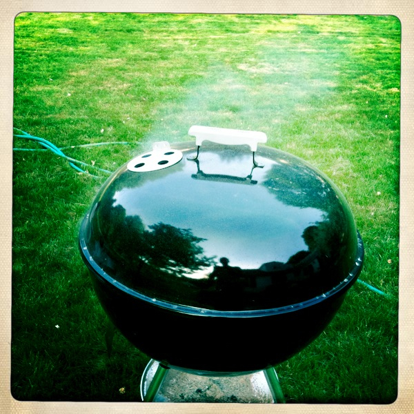 Hip 328229717.981175