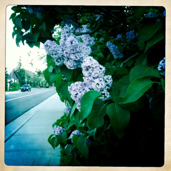 Hip 330613597.089962