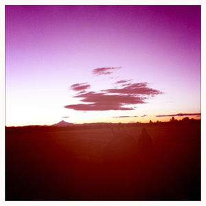 Hip 332395816.323708