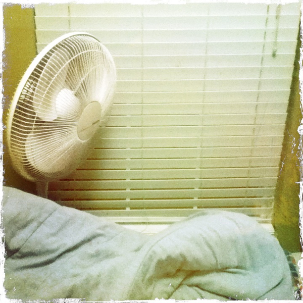 Hip 336543773.772247