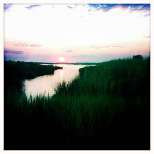 Hip 336442130.788756