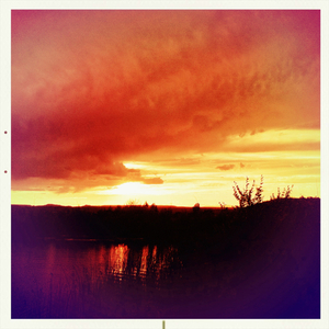 Hip 335410985.031331