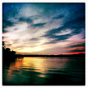 Hip 336529774.014100