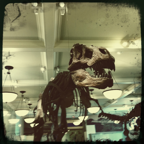 Hip 334084491.372395