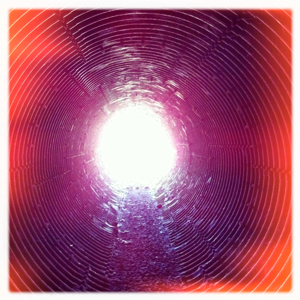 Hip 335919089.204864