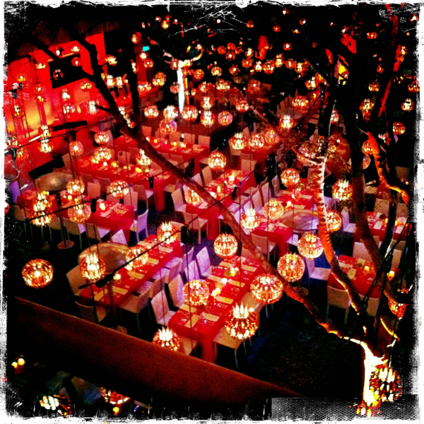 Hip 338611237.136858