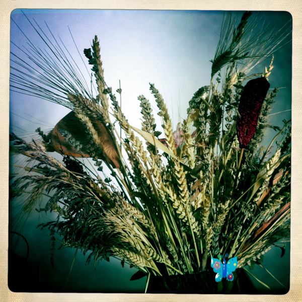 Hip 336292686.912513