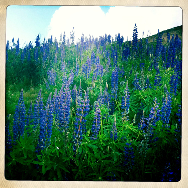 Hip 333360243.555927