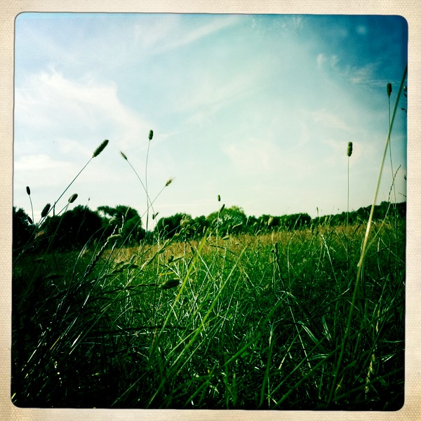 Hip 333907538.029084