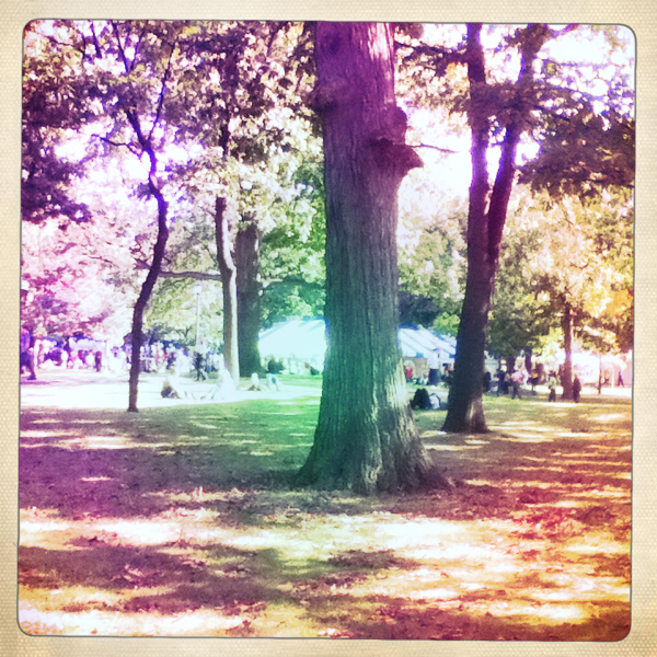 Hip 338672498.297147