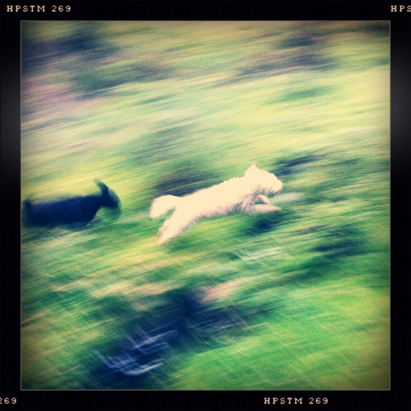 Hip 336763583.181234