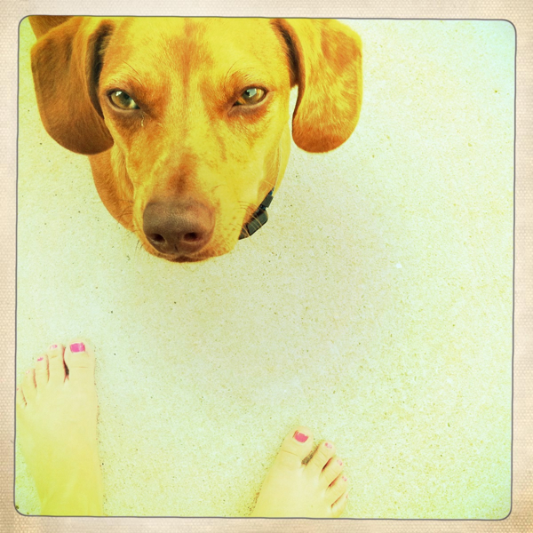 Hip 332630180.513170