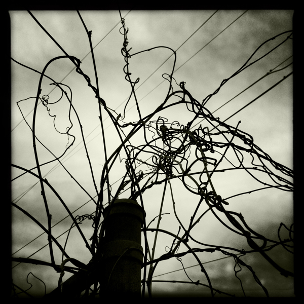 Hip 325891872.007864