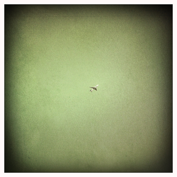 Hip 339086795.876996