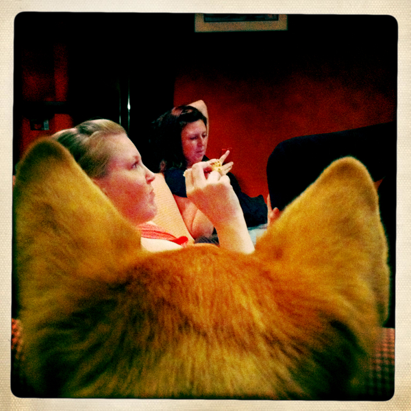 Hip 339138289.180099