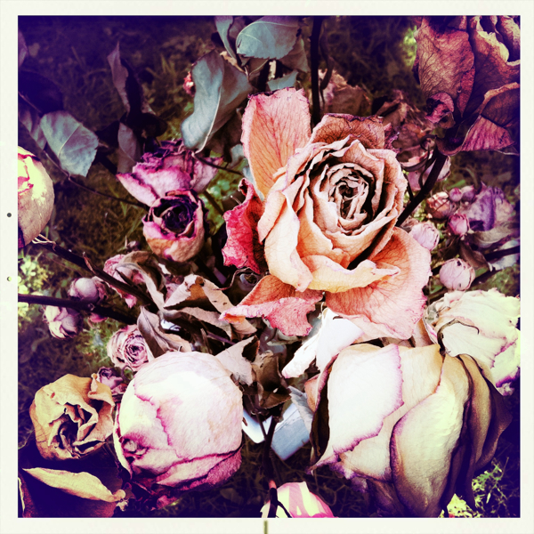 Hip 338471997.585642