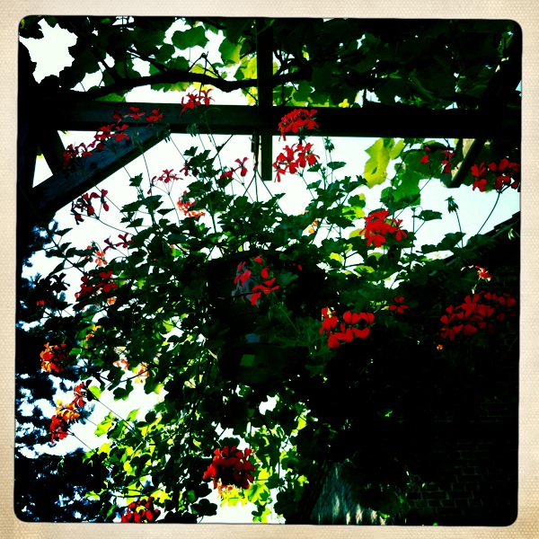 Hip 339169660.569879