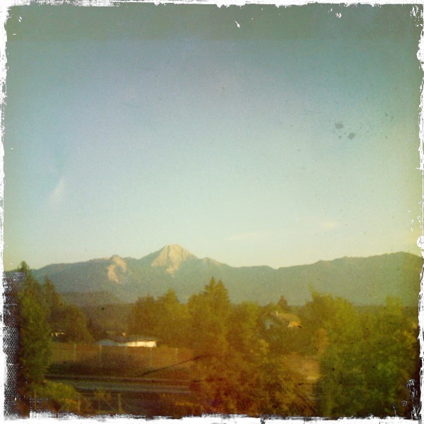 Hip 335036516.041629