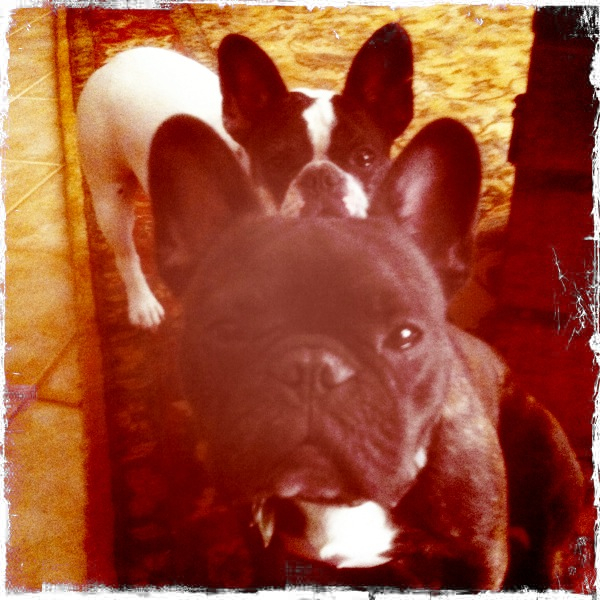 Hip 339187816.159190