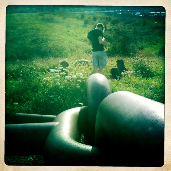 Hip 339087318.949154