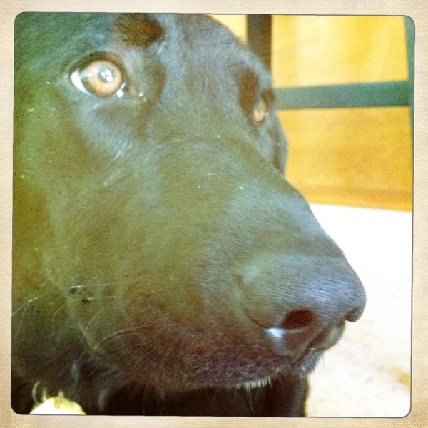 Hip 339189339.947250