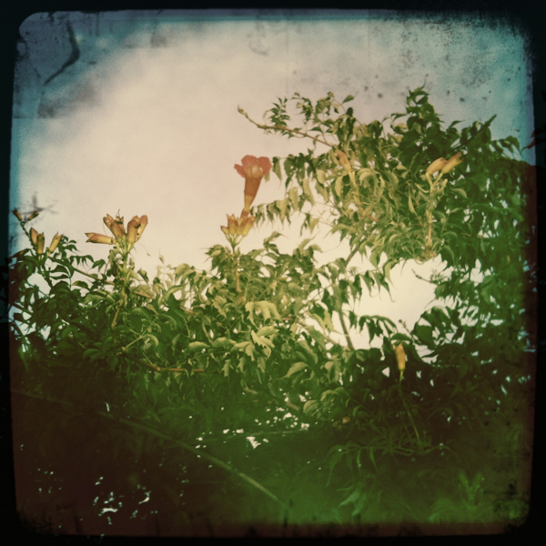 Hip 335766181.940542