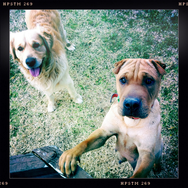 Hip 335510901.894238