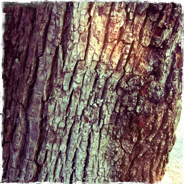 Hip 337447811.787635