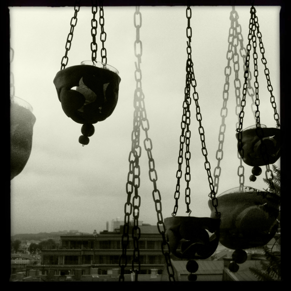 Hip 338913943.050868