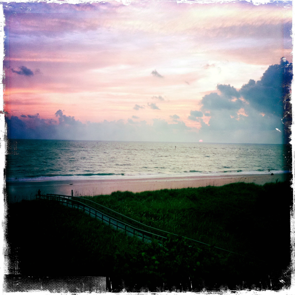 Hip 336354967.185131