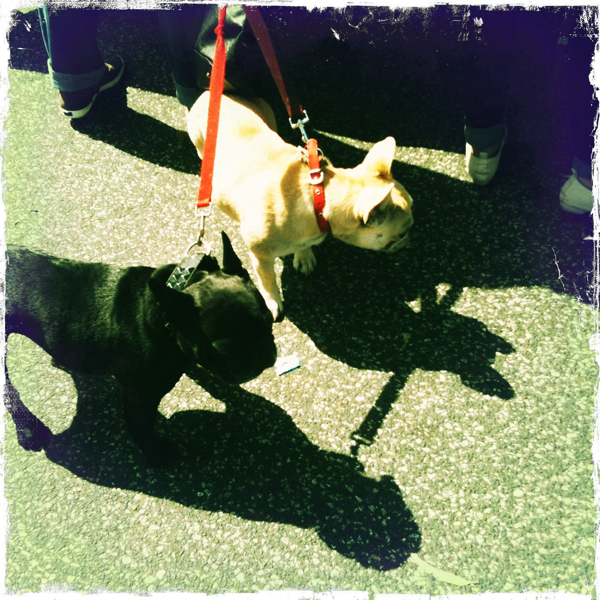 Hip 339210610.660336