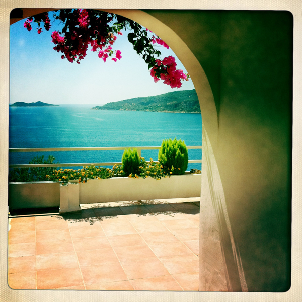 Hip 336048965.805369