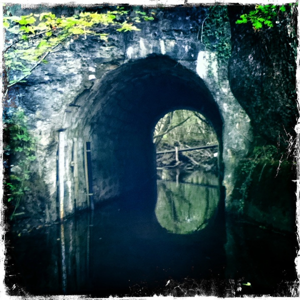 Hip 339251713.697278